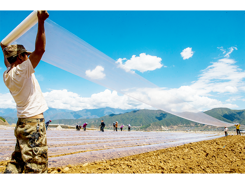 恒昌泰科技：全生物降解的农用地膜材料解决方案